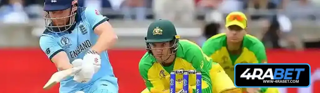Cricket betting on 4RABET app